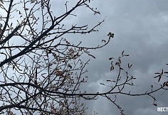 В Ростовской области существенных осадков сегодня не ожидается