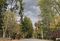 Осень не торопится: на Дону до +20°C 
