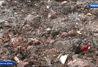 Несанкционированные свалки убрали в Таганроге