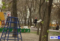 Тысячи волонтеров Дона помогают в рамках акции "Инфраструктура для жизни"