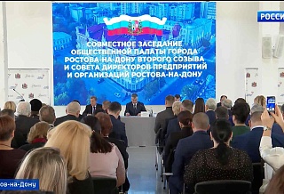 На заседании Общественной палаты и совета директоров Ростова подвели экономические итоги года