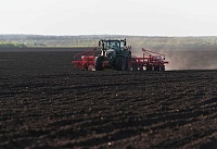 На Дону приступили к севу технических культур