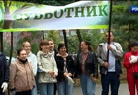 На ул. Вересаева в Ростове провели субботник и высадили новые деревья в парке