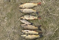 Рыбака с острогой задержали в заливе Цимлянского водохранилища